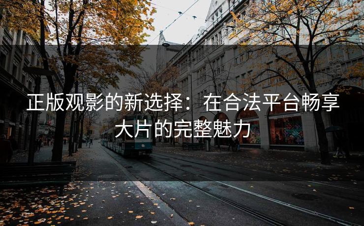 正版观影的新选择：在合法平台畅享大片的完整魅力