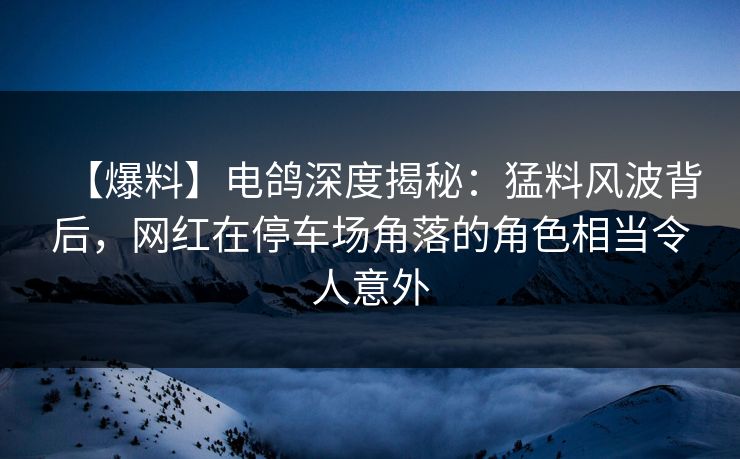 【爆料】电鸽深度揭秘：猛料风波背后，网红在停车场角落的角色相当令人意外