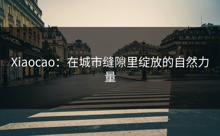 Xiaocao：在城市缝隙里绽放的自然力量